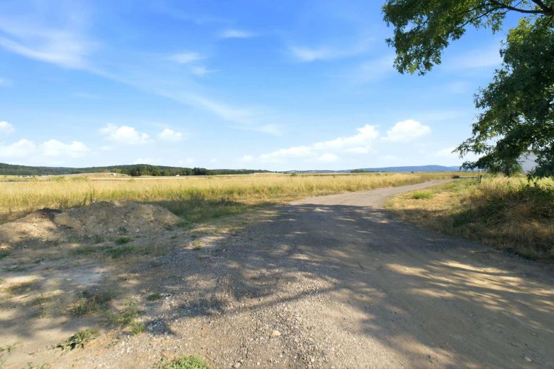 Gro�z�giges Baugrundst�ck mit eigener Zufahrt ? 1.175 m� und bis zu zwei Wohneinheiten /  / 2111&nbsp;Harmannsdorf / Bild 16